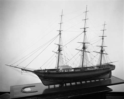 Sea qitch ship